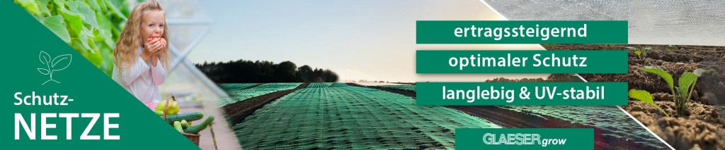 Netze Banner