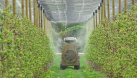 GLAESER Insektenschutznetz 2,50 x 100 m | Feinmaschiges Insektenschutznetz 0,8 x 0,8 mm | Schädlingsschutznetz | Transparentes Kirschessigfliegennetz | Gemüsenetz & Gartennetz