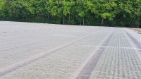 GLAESER Insektenschutznetz 3,00 x 100 m | Feinmaschiges Insektenschutznetz 0,8 x 0,8 mm | Schädlingsschutznetz | Transparentes Kirschessigfliegennetz | Gemüsenetz & Gartennetz