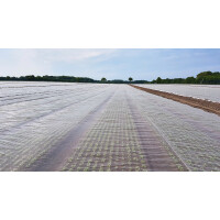 GLAESERgrow Kulturschutznetz 4,00 x 100 m | Feinmaschiges Insektenschutznetz 1,3 x 1,3 mm | Sch&auml;dlingsschutznetz | Transparentes Gem&uuml;seschutznetz | Gem&uuml;senetzt &amp; Gartennetz