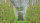 GLAESERgrow Kulturschutznetz 4,00 x 100 m | Feinmaschiges Insektenschutznetz 1,3 x 1,3 mm | Sch&auml;dlingsschutznetz | Transparentes Gem&uuml;seschutznetz | Gem&uuml;senetzt &amp; Gartennetz