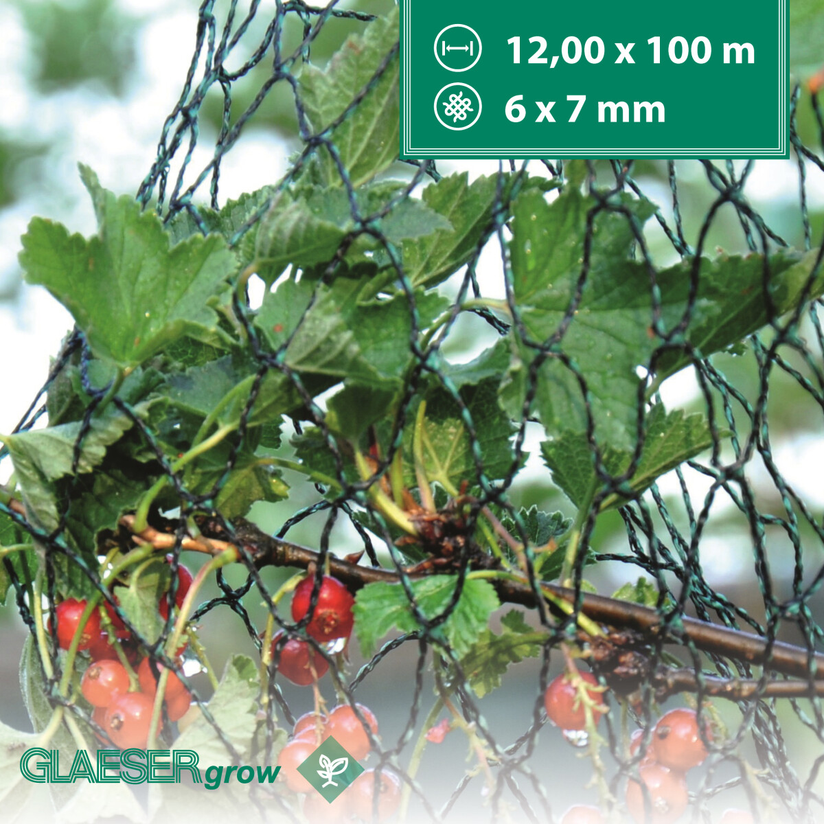 Siatka przeciw ptakom 12,00 x 100 m