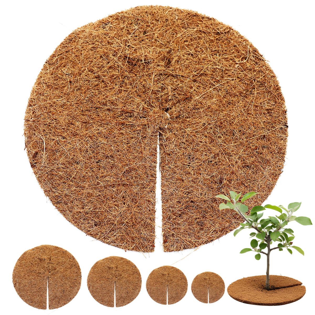greentex® Kokosscheibe Ø 25cm