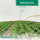 Gartenvlies 1,60 x 100 m – 19gr/m² | Gartenvlies Weiß | Wachstumsvlies für die Landwirtschaft u. Gartenbau | Wasserdurchlässiges Verfrühungsvlies / Frostschutzvlies | Wärmespeicherndes Gartenvlies