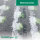 Gartenvlies 1,60 x 100 m – 23gr/m² | Gartenvlies Weiß | Wachstumsvlies für die Landwirtschaft u. Gartenbau | Wasserdurchlässiges Verfrühungsvlies / Frostschutzvlies | Wärmespeicherndes Gartenvlies