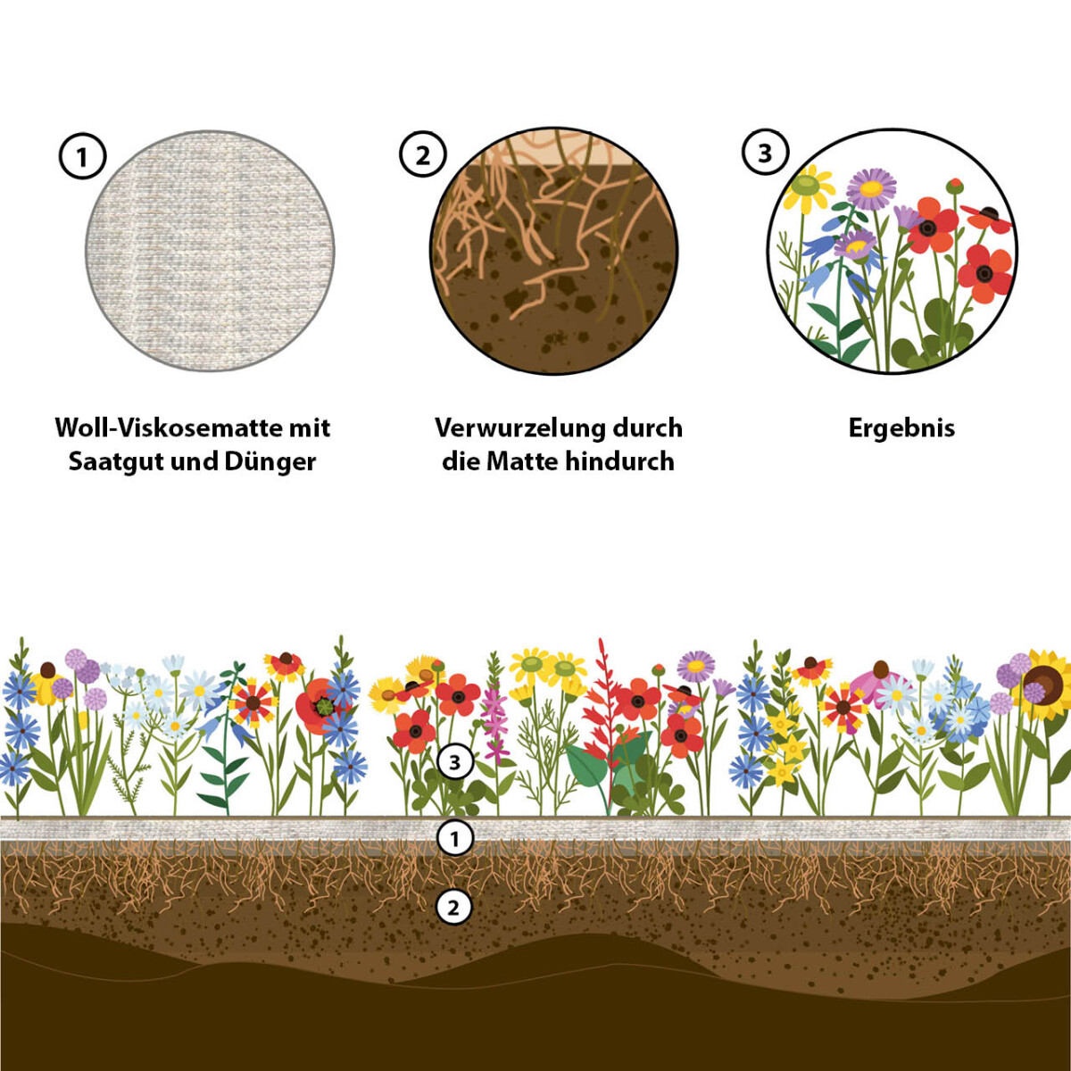 easygreen® Honig & Schmetterling 12m²