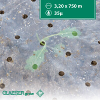 GLAESERgrow Lochfolie 35mµ - 3,20 x 750 m Ungelocht | Forstschutz und Ernteverfrühung | Lochfolie für den Gemüseanbau