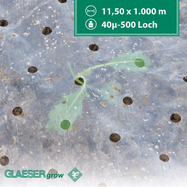 GLAESERgrow Lochfolie 40mµ - 11,50 x 1.000 m - 500 Loch | Forstschutz und Ernteverfrühung | Lochfolie für den Gemüseanbau