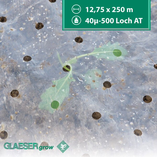 Perforated Film - 40µm - 12,75 x 250 m - 500 holes