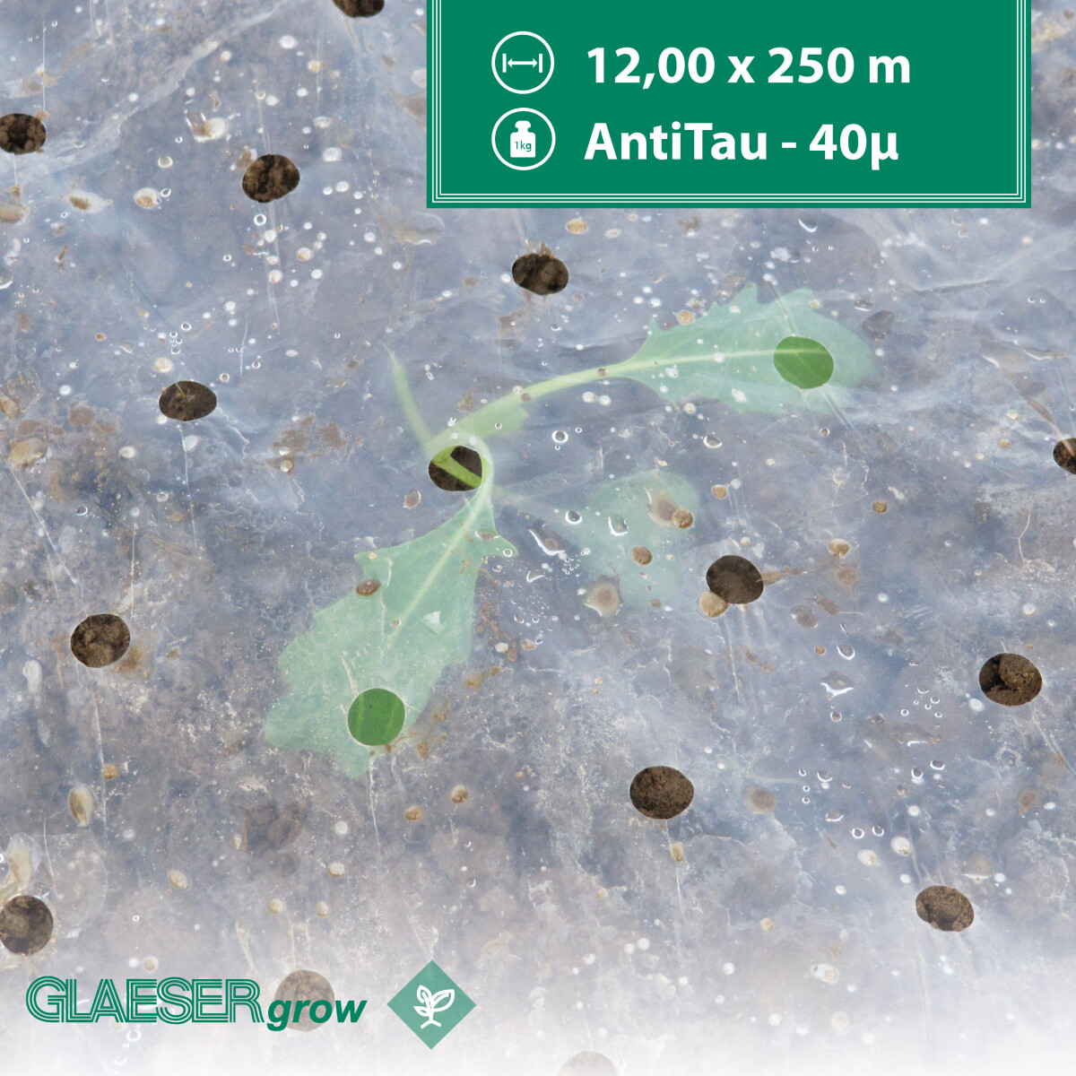 Lochfolie mit Antitau 40µm - 12,00 x 250 m - 500 Loch
