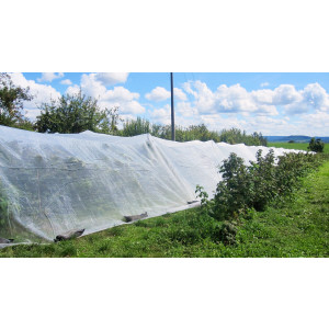 GLAESER Insektenschutznetz 16,00 x 100 m | Feinmaschiges Insektenschutznetz 0,8 x 0,8 mm | Schädlingsschutznetz | Transparentes Kirschessigfliegennetz | Gemüsenetz & Gartennetz