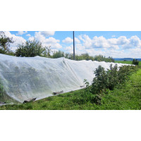 GLAESER Insektenschutznetz 16,00 x 100 m | Feinmaschiges Insektenschutznetz 0,8 x 0,8 mm | Schädlingsschutznetz | Transparentes Kirschessigfliegennetz | Gemüsenetz & Gartennetz
