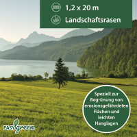 easygreen® Landschaftsrasen 36m²
