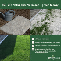 easygreen® Landschaftsrasen 36m²